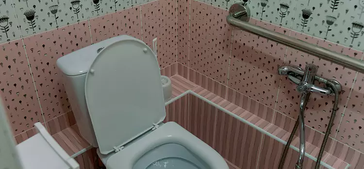 Meeting Diverse Needs With Accessible Restroom Solutions in Laplace, LA