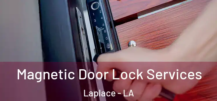 Magnetic Door Lock Services Laplace - LA